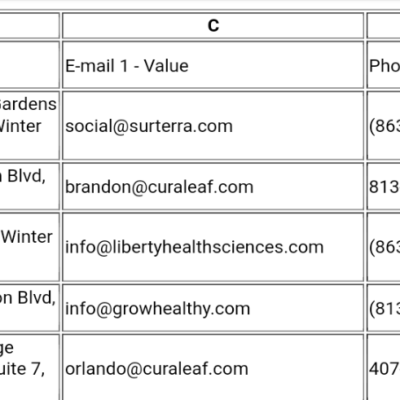 dispensary email lead list florida csv